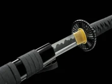 Iaido-sword-161109